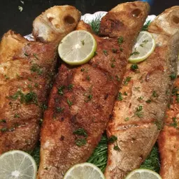 Fried Seabass - Kilo